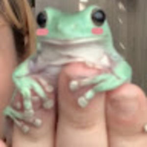 Meet your Posher, Ella